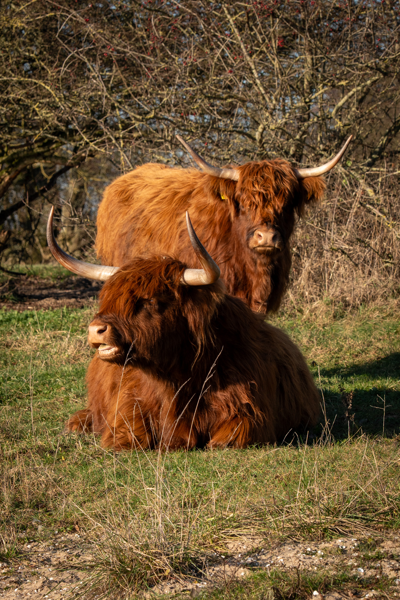 Natuur