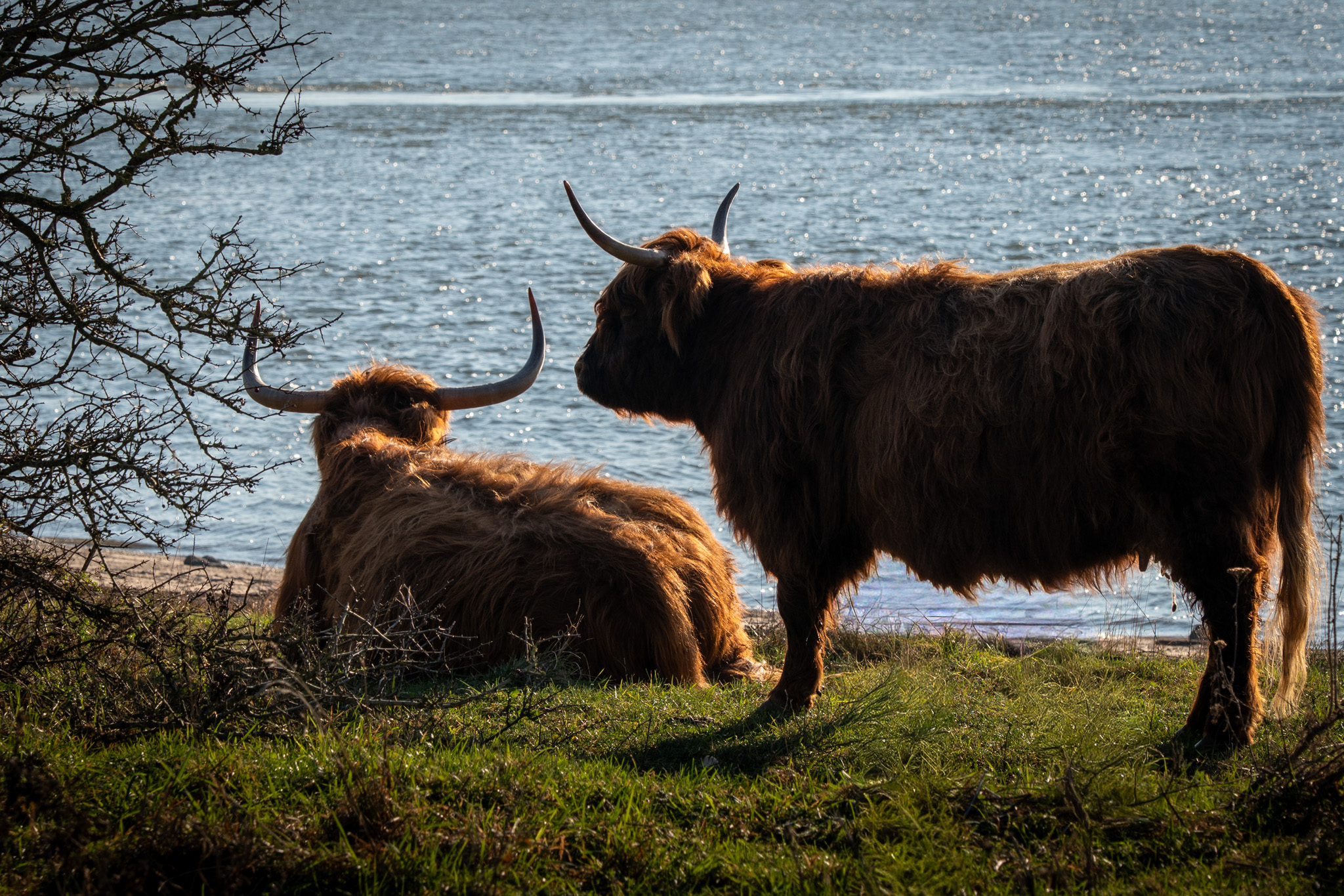 Natuur