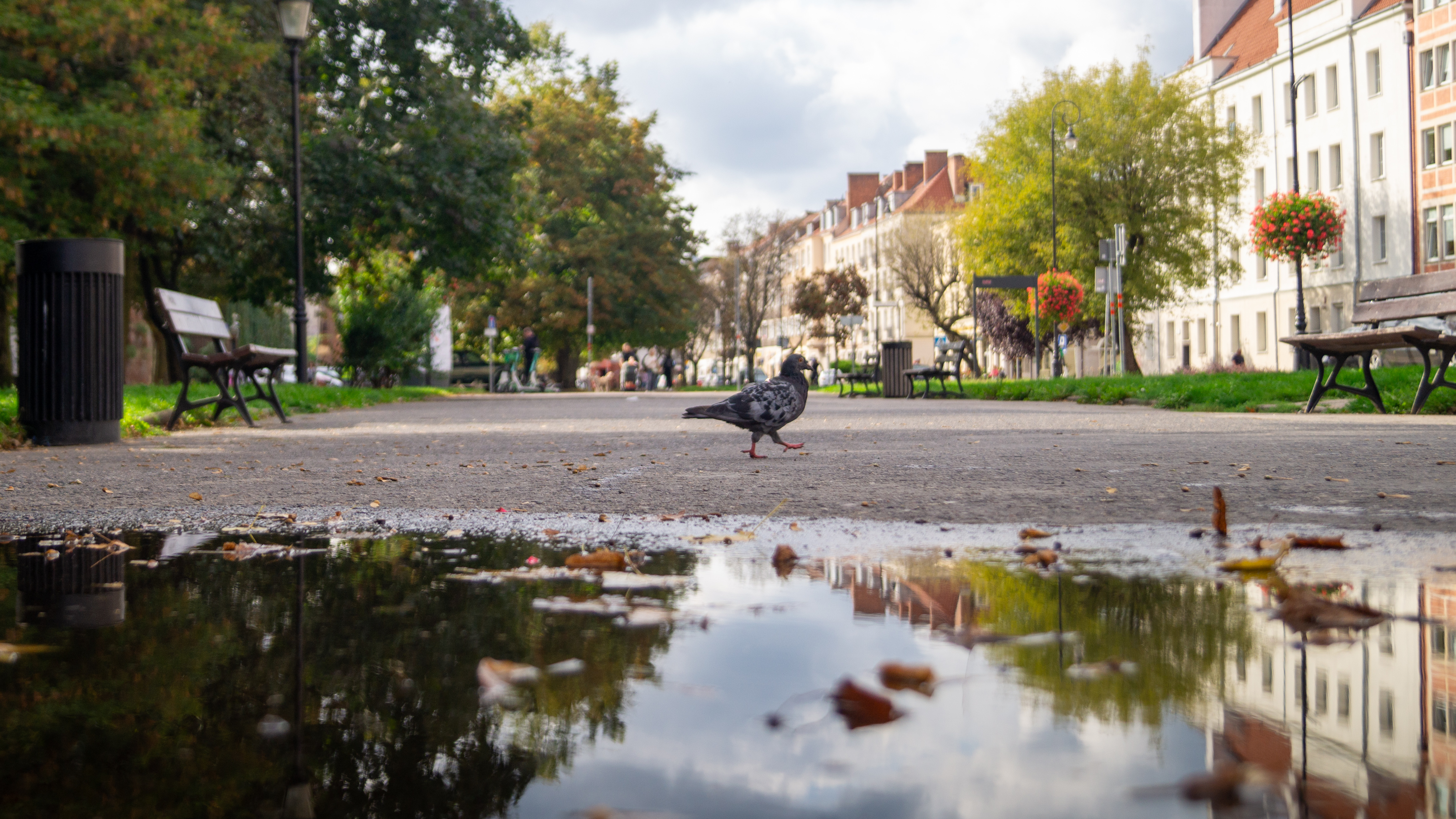 Straatfotografie